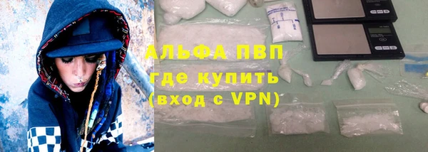 прущие грибы Волоколамск