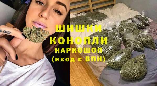 прущие грибы Волоколамск