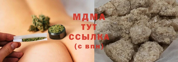 прущие грибы Волоколамск