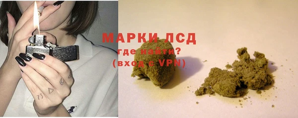 прущие грибы Волоколамск