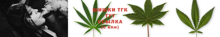прущие грибы Волоколамск