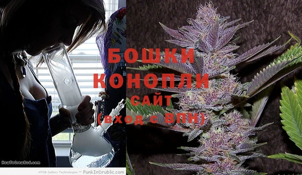 прущие грибы Волоколамск