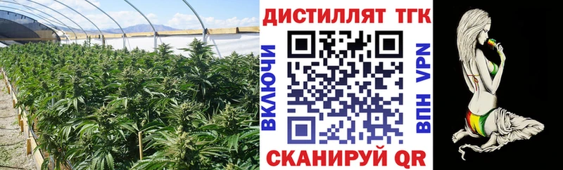 Дистиллят ТГК THC oil  Купить где  Гулькевичи 